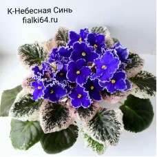 К-Небесная Синь (Крайдуба)